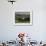 Farmhouse and Cypress Tres in the Earning Morning, San Quirico d'Orcia, Tuscany, Italy-Ruth Tomlinson-Framed Photographic Print displayed on a wall