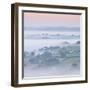 Farmhouse and Mist Covered Countryside, Stockleigh Pomeroy, Devon, England. Autumn (September)-Adam Burton-Framed Photographic Print