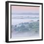 Farmhouse and Mist Covered Countryside, Stockleigh Pomeroy, Devon, England. Autumn (September)-Adam Burton-Framed Photographic Print