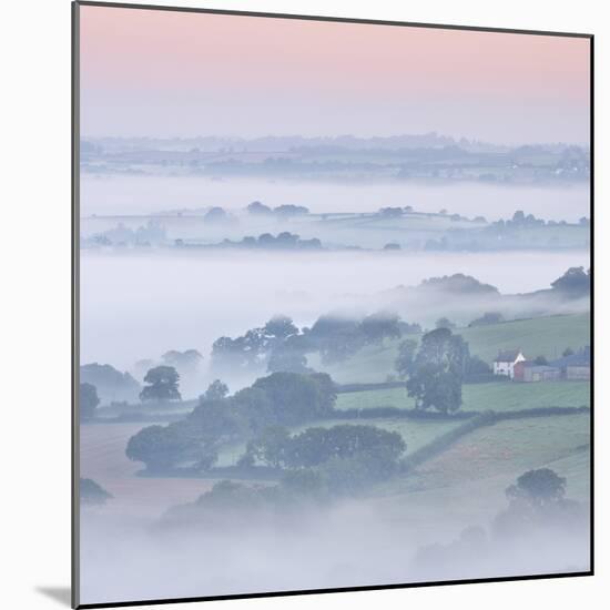 Farmhouse and Mist Covered Countryside, Stockleigh Pomeroy, Devon, England. Autumn (September)-Adam Burton-Mounted Photographic Print
