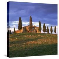 Farmhouse and Trees Near Pienza, Siena Province, Tuscany, Italy, Europe-John Miller-Stretched Canvas