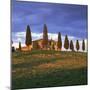 Farmhouse and Trees Near Pienza, Siena Province, Tuscany, Italy, Europe-John Miller-Mounted Photographic Print
