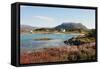 Farmhouse at Gasvaer, Kvalfjord, Troms, North Norway, Norway, Scandinavia, Europe-David Lomax-Framed Stretched Canvas