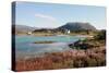 Farmhouse at Gasvaer, Kvalfjord, Troms, North Norway, Norway, Scandinavia, Europe-David Lomax-Stretched Canvas