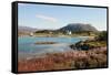 Farmhouse at Gasvaer, Kvalfjord, Troms, North Norway, Norway, Scandinavia, Europe-David Lomax-Framed Stretched Canvas