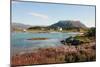 Farmhouse at Gasvaer, Kvalfjord, Troms, North Norway, Norway, Scandinavia, Europe-David Lomax-Mounted Photographic Print