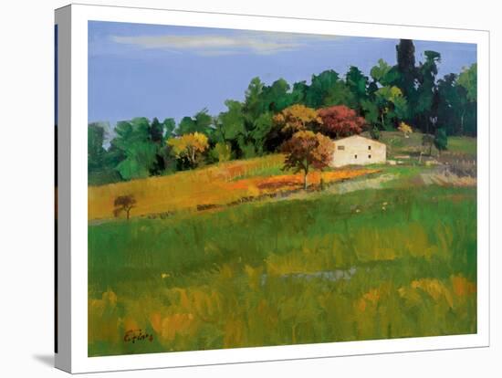 Farmhouse at Noon-Peter Fiore-Stretched Canvas