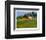 Farmhouse at Noon-Peter Fiore-Framed Art Print