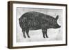 Farmhouse Butcher I-June Erica Vess-Framed Art Print