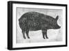 Farmhouse Butcher I-June Erica Vess-Framed Art Print