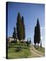 Farmhouse Called Il Belvedere Near San Quirico, Val d'Orcia, Tuscany, Italy-Angelo Cavalli-Stretched Canvas