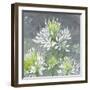 Farmhouse Cleome I-Julia Purinton-Framed Art Print