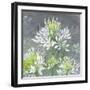 Farmhouse Cleome I-Julia Purinton-Framed Art Print