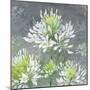 Farmhouse Cleome I-Julia Purinton-Mounted Art Print