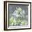 Farmhouse Cleome I-Julia Purinton-Framed Art Print