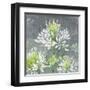 Farmhouse Cleome I-Julia Purinton-Framed Art Print