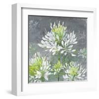 Farmhouse Cleome I-Julia Purinton-Framed Art Print