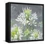 Farmhouse Cleome I-Julia Purinton-Framed Stretched Canvas