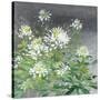 Farmhouse Cleome II-Julia Purinton-Stretched Canvas