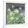 Farmhouse Cleome II-Julia Purinton-Framed Art Print