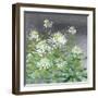 Farmhouse Cleome II-Julia Purinton-Framed Art Print