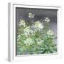 Farmhouse Cleome II-Julia Purinton-Framed Art Print