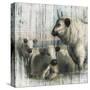Farmhouse Cows-null-Stretched Canvas