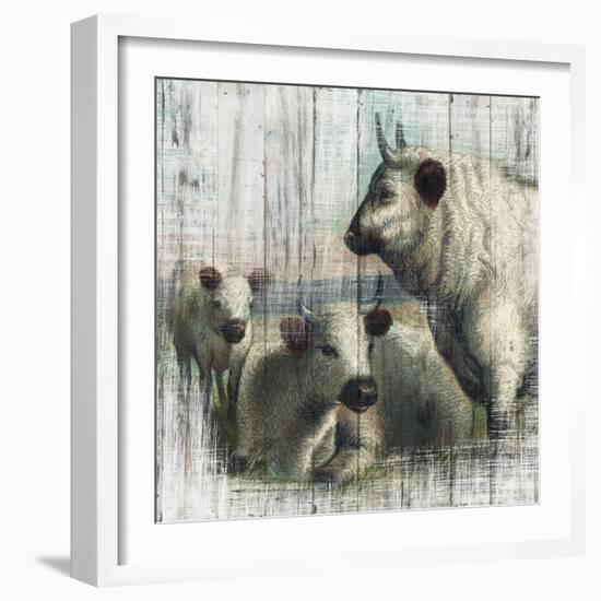 Farmhouse Cows-null-Framed Art Print