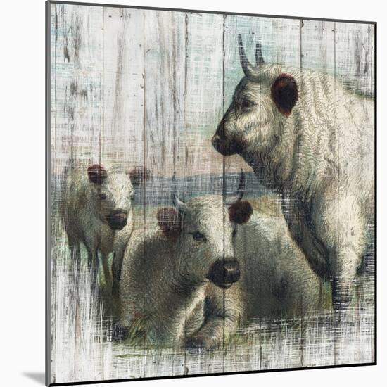 Farmhouse Cows-null-Mounted Art Print