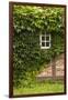 Farmhouse, Facade, Ivy Covered, Detail-Nora Frei-Framed Photographic Print