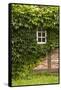 Farmhouse, Facade, Ivy Covered, Detail-Nora Frei-Framed Stretched Canvas