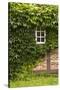 Farmhouse, Facade, Ivy Covered, Detail-Nora Frei-Stretched Canvas