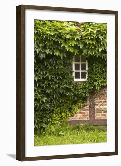 Farmhouse, Facade, Ivy Covered, Detail-Nora Frei-Framed Photographic Print