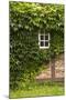 Farmhouse, Facade, Ivy Covered, Detail-Nora Frei-Mounted Photographic Print