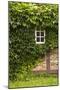 Farmhouse, Facade, Ivy Covered, Detail-Nora Frei-Mounted Photographic Print