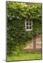 Farmhouse, Facade, Ivy Covered, Detail-Nora Frei-Mounted Photographic Print