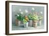 Farmhouse Geraniums Crop-Danhui Nai-Framed Art Print