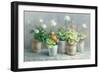 Farmhouse Geraniums Crop-Danhui Nai-Framed Art Print