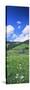 Farmhouse in a Field, Glottertal, Black Forest, Baden-Wurttemberg, Germany-null-Stretched Canvas