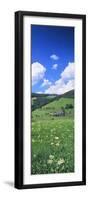 Farmhouse in a Field, Glottertal, Black Forest, Baden-Wurttemberg, Germany-null-Framed Photographic Print