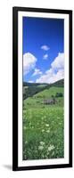 Farmhouse in a Field, Glottertal, Black Forest, Baden-Wurttemberg, Germany-null-Framed Photographic Print