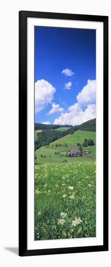 Farmhouse in a Field, Glottertal, Black Forest, Baden-Wurttemberg, Germany-null-Framed Photographic Print