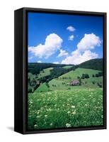 Farmhouse in a Field, Glottertal Valley, Black Forest, Baden-Wurttemberg, Germany-null-Framed Stretched Canvas