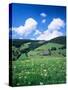 Farmhouse in a Field, Glottertal Valley, Black Forest, Baden-Wurttemberg, Germany-null-Stretched Canvas