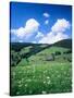 Farmhouse in a Field, Glottertal Valley, Black Forest, Baden-Wurttemberg, Germany-null-Stretched Canvas