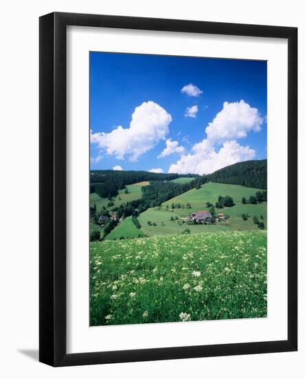 Farmhouse in a Field, Glottertal Valley, Black Forest, Baden-Wurttemberg, Germany-null-Framed Photographic Print