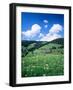 Farmhouse in a Field, Glottertal Valley, Black Forest, Baden-Wurttemberg, Germany-null-Framed Photographic Print