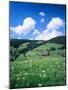 Farmhouse in a Field, Glottertal Valley, Black Forest, Baden-Wurttemberg, Germany-null-Mounted Photographic Print