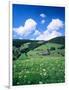 Farmhouse in a Field, Glottertal Valley, Black Forest, Baden-Wurttemberg, Germany-null-Framed Photographic Print