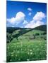 Farmhouse in a Field, Glottertal Valley, Black Forest, Baden-Wurttemberg, Germany-null-Mounted Photographic Print